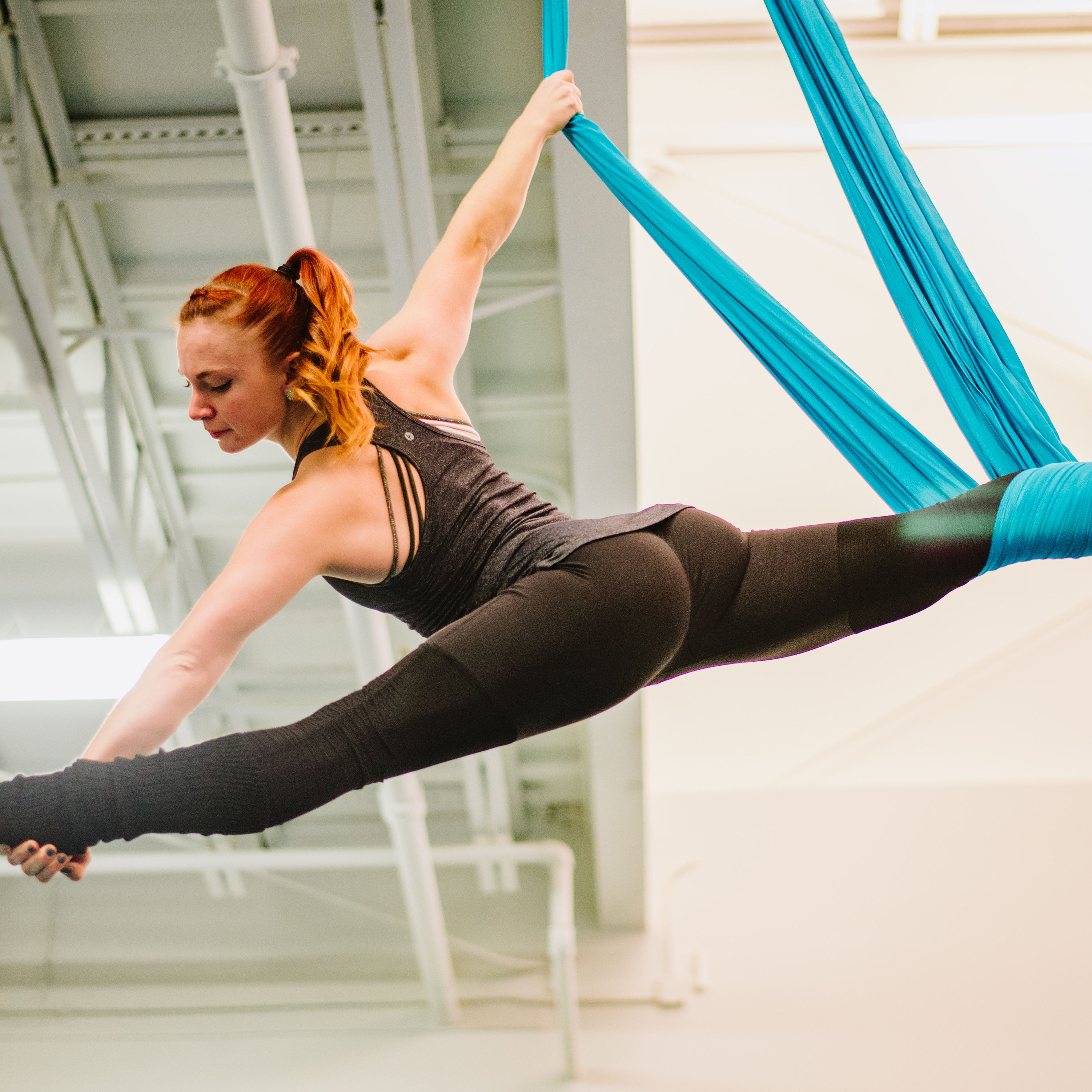 aerialSilks